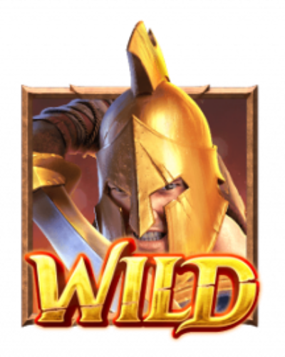 สัญลักษณ์ Wild